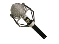 Blue Dragonfly Blue Dragonfly